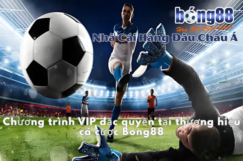 Chương trình VIP đặc quyền tại thương hiệu cá cược Bong88 