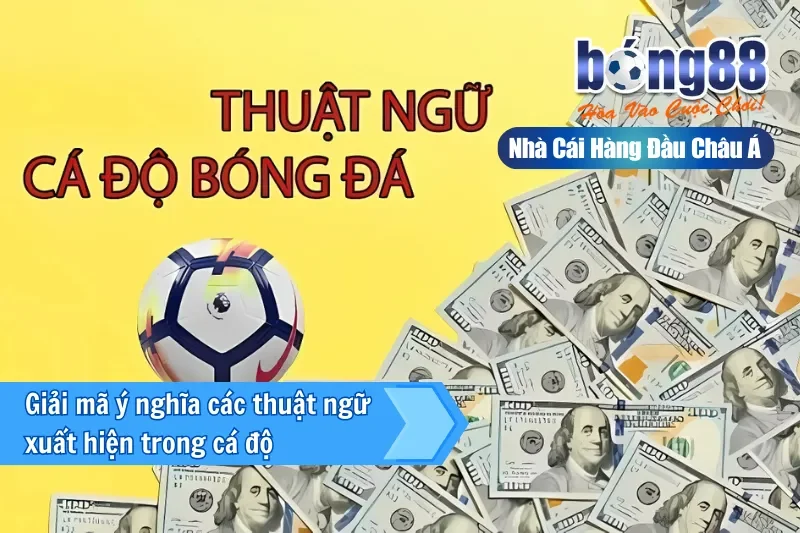 Giải mã ý nghĩa các thuật ngữ xuất hiện trong cá độ