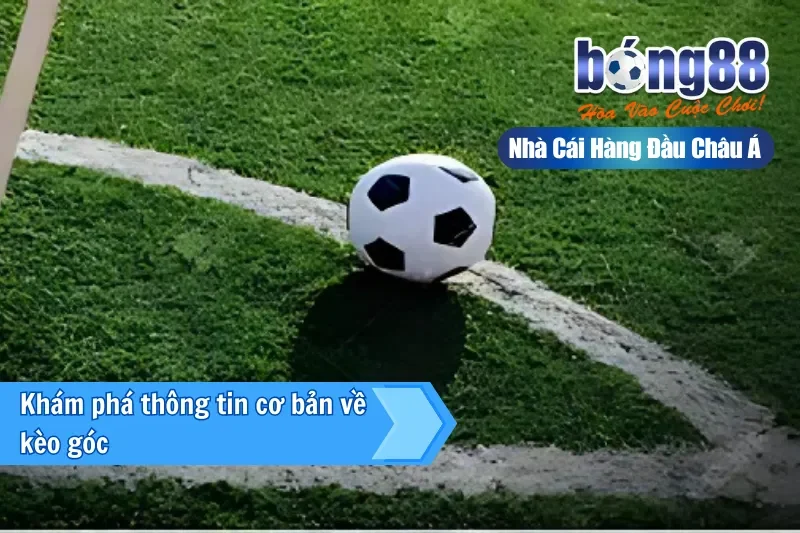 Khám phá thông tin cơ bản về kèo góc