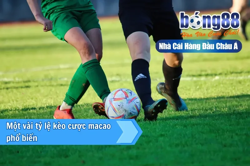 Một vài tỷ lệ kèo cược macao phổ biến