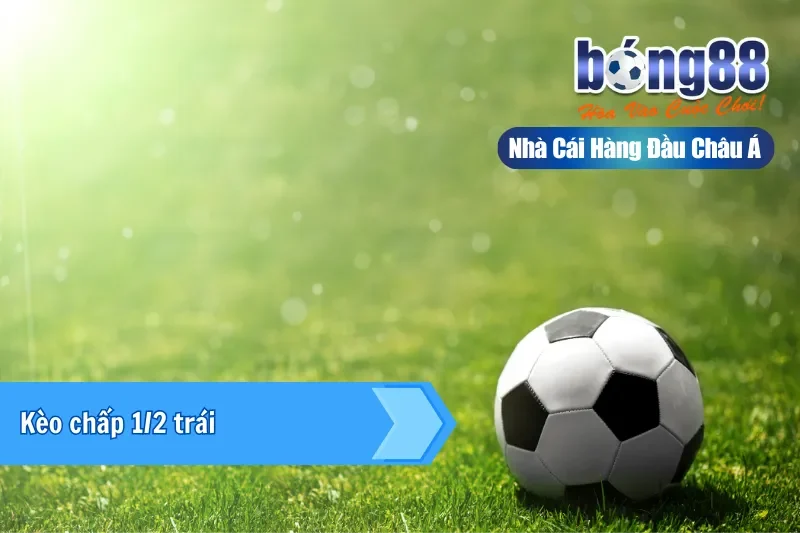 Kèo chấp 1/2 trái
