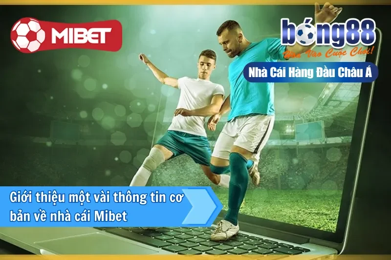 Đại Lý Mibet 2 Giới thiệu một vài thông tin cơ bản về nhà cái Mibet