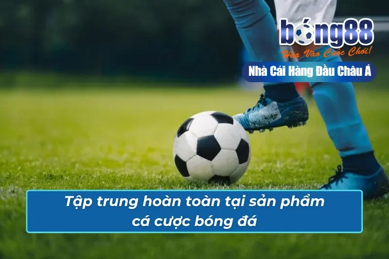Trang Chủ 43 Bong88 tập trung phát triển chủ lực cá cược bóng đá